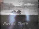Perfect Touch Touching You Rare Modern Soul LP HEAR NM