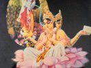 ASSOCIATION KRISHNA LP TEMPLE RADHA PARAMPARA