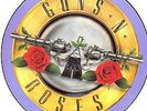 GUNS N ROSES RARE MINT WELCOME TO THE JUNGLE PIC DISC
