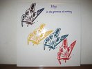 Lilys In The Presence of Nothing ORIGINAL PRESSING LP