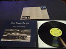 THE TRAGICALLY HIP DAY FOR NIGHT LP CANADIAN IMPORT MCA