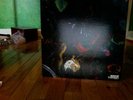 Emeralds Allegory of Allergies 2XLP (Never Played)