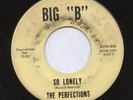 THE PERFECTIONS 45 SO LONELY BIG 