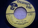 JUSTIN HINDS & THE DOMINOES - CARRY GO BRING ME/ 7