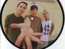BLINK 182  I Miss You  PICTURE DISC MINT 45 7