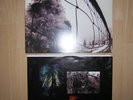 Pearl Jam - VS - rare vinyl LP with gatefold cover