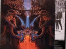 Dismember -Like an everflowing stream LP 1991