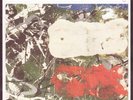 STONE ROSES 7