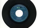 RARE 45 RPM  CANADIAN /GARAGE / PSYCH / THE KING BEES