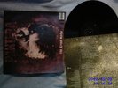 Pantera Far Beyond Driven