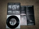 Citizens Arrest Light In Darkness 7