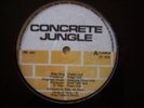RILEY ALL STARS - Concrete Dub   VINYL LP