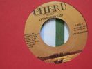 DISCO/MODERN SOUL 45 RARE PLEASURE LET ME DOWN EASY