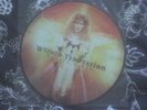 Within Temptation - Mother Earth PicLP 1st Press mint