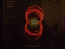 PEARL JAM - BINAURAL - SEALED DOUBLE VINYL 12