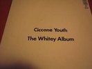 CICCONE YOUTH // WHITEY ALBUM / 1988  EX.COND OZ....LP
