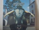 SWERVEDRIVER – MEZCAL HEAD LP