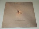 CAMALEONTI - E CAMMINIAMO