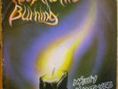 MIGHTY MAYTONES Keep The Fire Burning LP THIRD WORLD