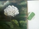 TONY MIMMS S.O.S. ORIG ITALIAN PROG LP 1972 RARO