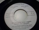 RARE RICK NELSON ONE SIDED THEATRE PROMO 45 RPM/ LEMMON