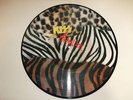 Rare Dutch Kiss Animalize Picture Disc - No. 295