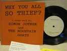 MOUNTAIN GOATS SIMON JOYNER Why You All So Thief? 7