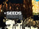 CANADA ORIGINAL 1967 GARAGE ROCK NM 33 THE SEEDS FUTURE