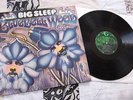 BIG SLEEP - BLUEBELL WOOD    GLOBAL RECORDS   Prog Rock