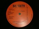 BIG YOUTH - SOWELL RADICS -  (NICE ROOTS) ??