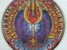 Nice MICKEY HART Rolling Thunder LP picture disc