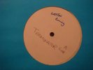 TAXMAN - TERMINATOR - RARE DIGITAL KILLER 12