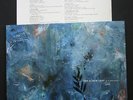 The Album Leaf Jimmy LaValle Trisiza Sub Pop LP
