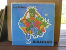 Melvins Bullhead LP punk noise grunge
