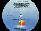 BOB MARLEY Could you be Loved PROMO 12