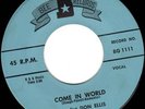 DON ELLIS rockabilly 45 on BEE “Come In World” NM HEAR