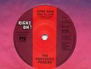 THE FANTASTIC PUZZLES-COME BACK-RIGHT ON