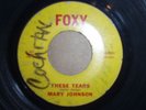 MARY JOHNSON 