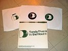 DEFECTED - SANDY RIVERA IN THE HOUSE 12