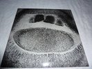 SkullFlower - Form Destroyer  Vinyl LP
