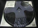 SYSTEM OF A DOWN steal this album 2LP PICTURE DISC MINT