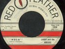 RARE TEEN Rocker 45 Larry & the Abeggs 