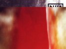 NINE INCH NAILS The Fragile 3XLP NM 1999 EU Pressing