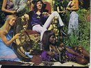 PETER BARDENS the answer 1970 TRANSATLANTIC PETER GREEN