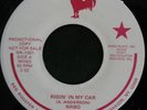 NRBQ RIDIN' IN MY CAR/DO THE BUMP Red Rooster Promo
