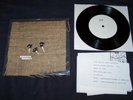 Toru Okada / Olive Tree record release /50 saetia emo