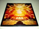 HAPSHASH AND THE COLOURED COAT LP UK ORIG RARE PSYCH 
