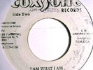 JACKIE OPEL - I AM WHAT I AM/SOUL BROTHERS- DEVIL'S BUG