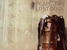 Pearl Jam Lost Dogs record
