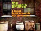 THE ELECTRIC PRUNES. I HAD TOO MUCH TO DREAM - LUVIN